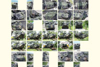 JGSDF AAV7 Sample